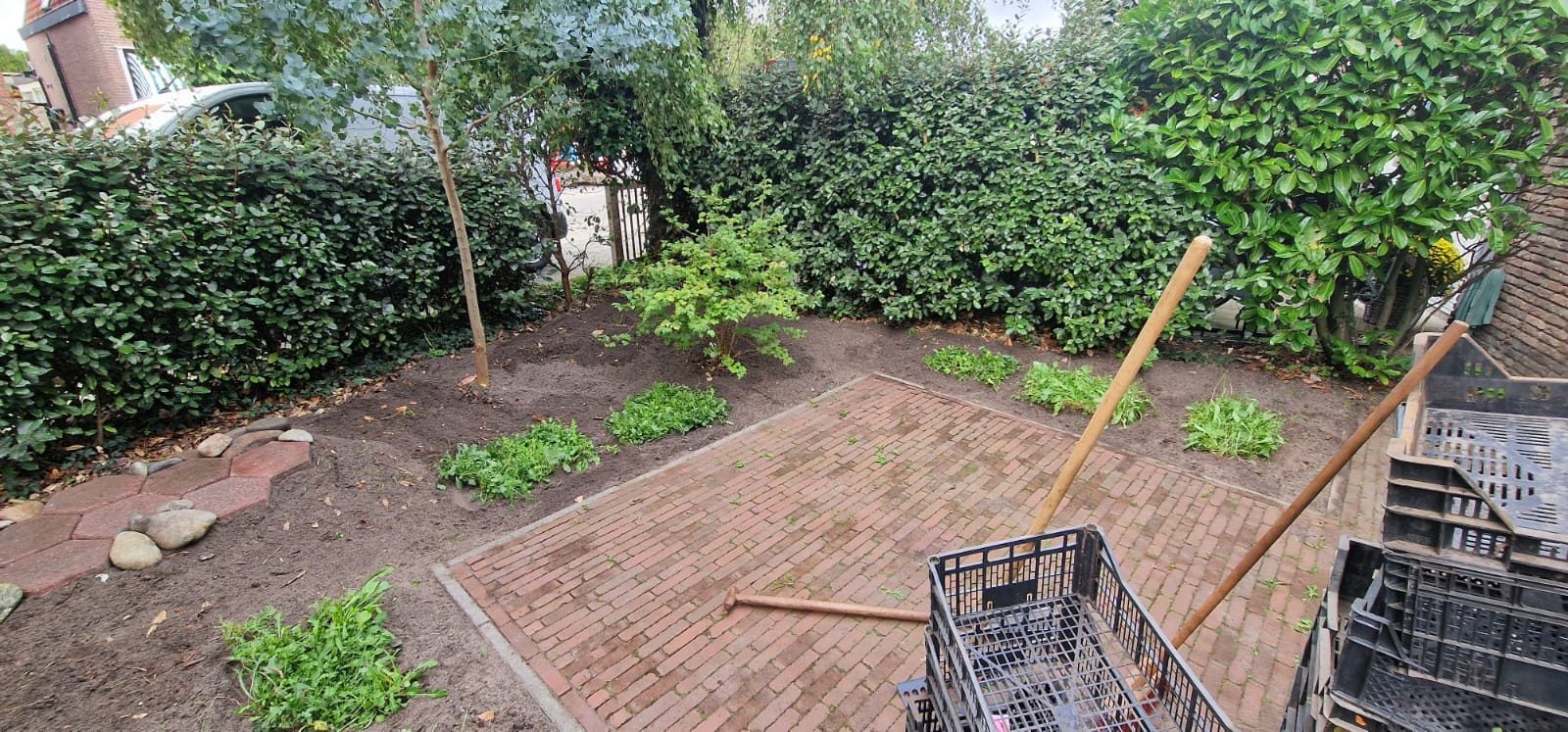 Bloemzoden Hillegom