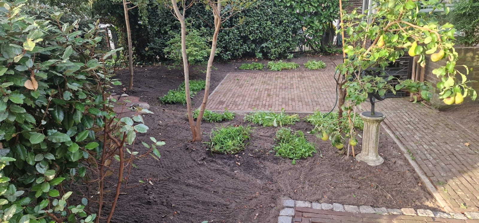 Bloemzoden Hillegom foto 2